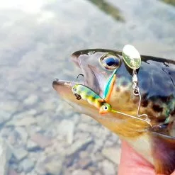 Spro Larva Micro Spinnerbait Treble Hook -Roofvis groot warenhuis 16a145a9ca6a4156a6c142587a875c95