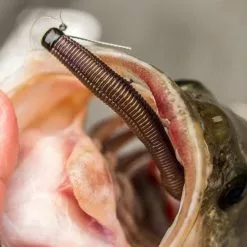 Z-Man Zman Mag ShroomZ Weedless Green Pumpkin 10,5 Gram 9 Z-Man Zman Mag ShroomZ Weedless Green Pumpkin 10,5 Gram -Roofvis groot warenhuis 17773731a5c04678a0609b561d819299