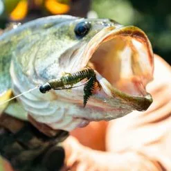 Savage Gear Ned Salamander 7,5 CM -Roofvis groot warenhuis 3fa91be6d3fc4bccbae0b831522f39ad