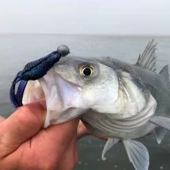 Spro Scent Series Insta Claw 8 CM -Roofvis groot warenhuis 44984ba277ac442da0df2d15c1964b7e