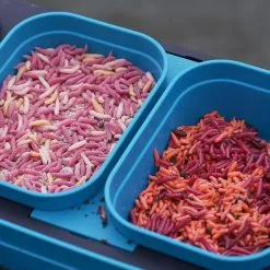 Drennan Modular Bait Box 0,57L -Roofvis groot warenhuis 48dd5c9144a14f6e9dcb02bf0bc5ac5b