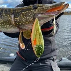 Lucky John Wobbler BBS Arrow Jerk 15F 9 Lucky John Wobbler BBS Arrow Jerk 15F -Roofvis groot warenhuis 60da9a0a36fa41ea8dc873fe7f1df82d