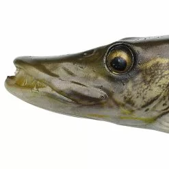 Savage Gear 4D Line Thru Pike 37 CM -Roofvis groot warenhuis 6348f10f84a440d1af0aac0c424d202b