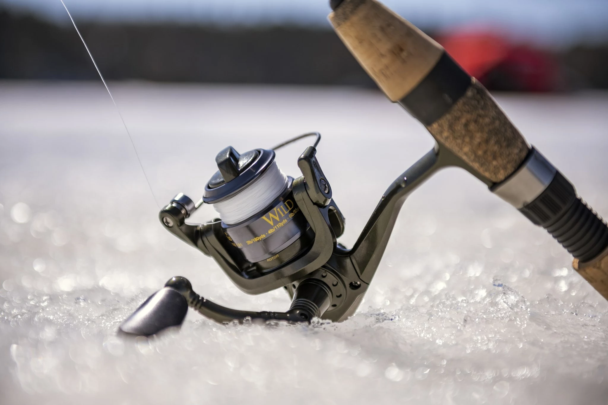 Roofvis groot warenhuis -Roofvis groot warenhuis 75402074 2673246462757951 4222546098620727296 n