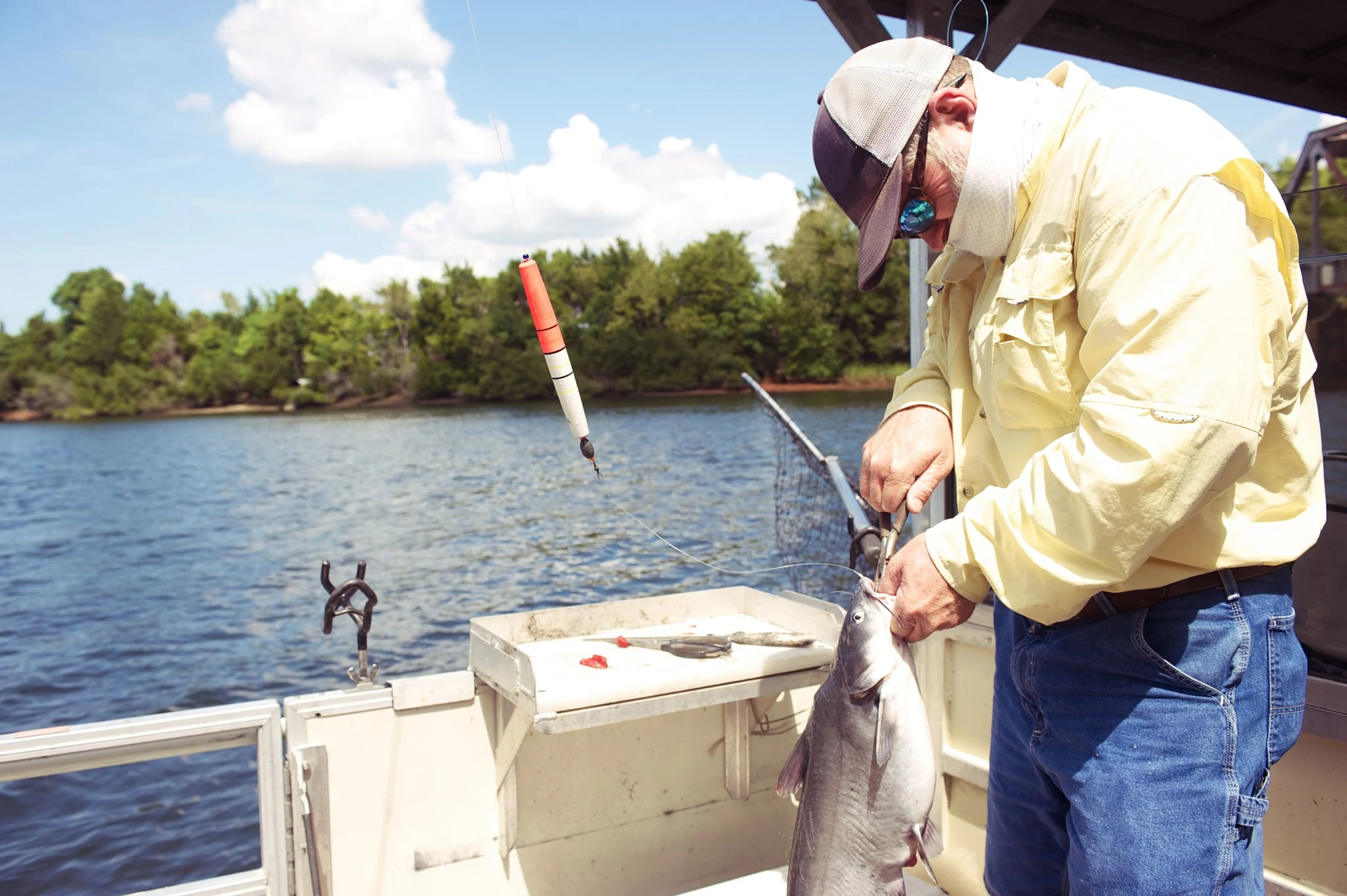 Roofvis groot warenhuis 2 Roofvis groot warenhuis -Roofvis groot warenhuis 84608918 2851906631558599 1992353908919369728 n