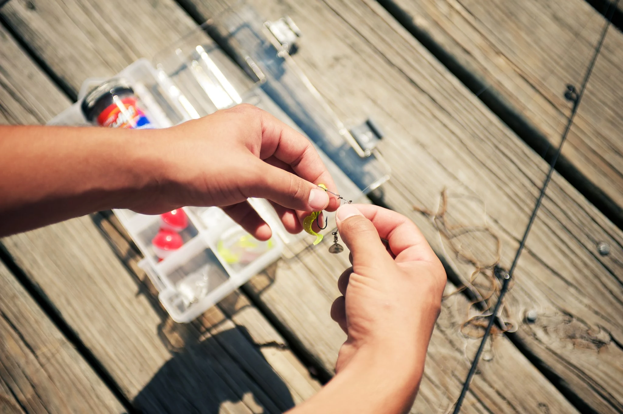 Roofvis groot warenhuis 50 Roofvis groot warenhuis -Roofvis groot warenhuis 84889151 2848022958613633 1291444795587166208 n