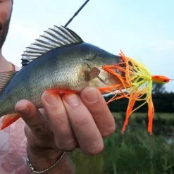 Patriot Spinnerbait 12 Gram -Roofvis groot warenhuis 935e6a7297944b5c915d8fc8359533af