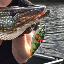 Rapala X-Rap Haku 14 CM -Roofvis groot warenhuis 9d9b08285ea6456e8172f5b405a8a7d5