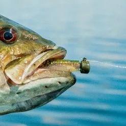 Northland Tackle Nedster 7 Gram -Roofvis groot warenhuis d64975c14f7e4efba50690ed5b7509f9