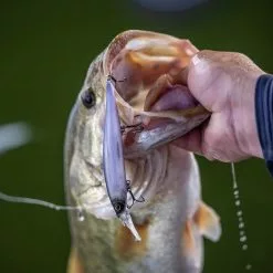 Berkley Dex Stunna 11 CM -Roofvis groot warenhuis d6e3532ac7984492b912f406c922cb13