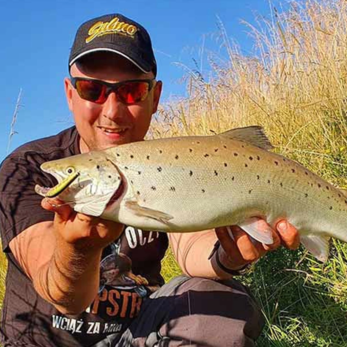 Salmo Trout Pack 4 Salmo Trout Pack - Afbeelding 2